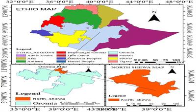 Magnitude of NNM and associated factors among Newborns delivered at the North Shewa zone Public Health Hospital, Central Ethiopia: A multi-level analysis